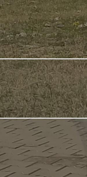 Residential Land / Plot